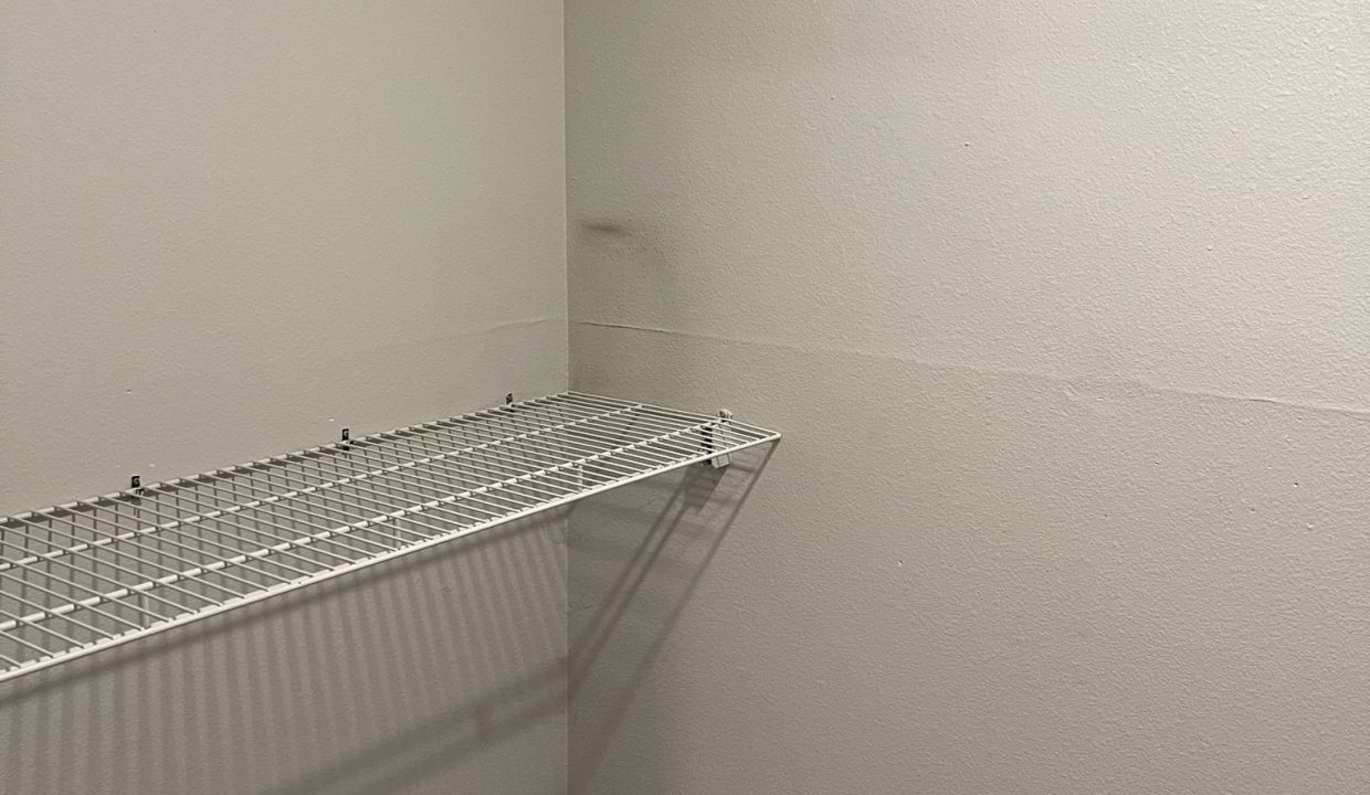 IMG_6528