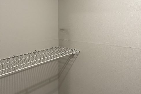 IMG_6528